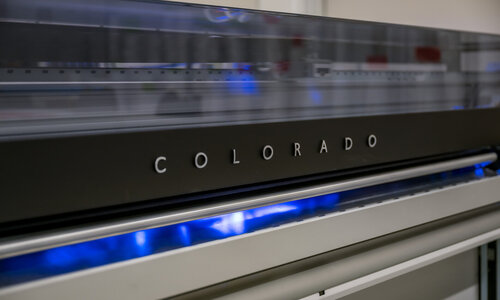 Erwecken Sie Ihr Zuhause mit Leben