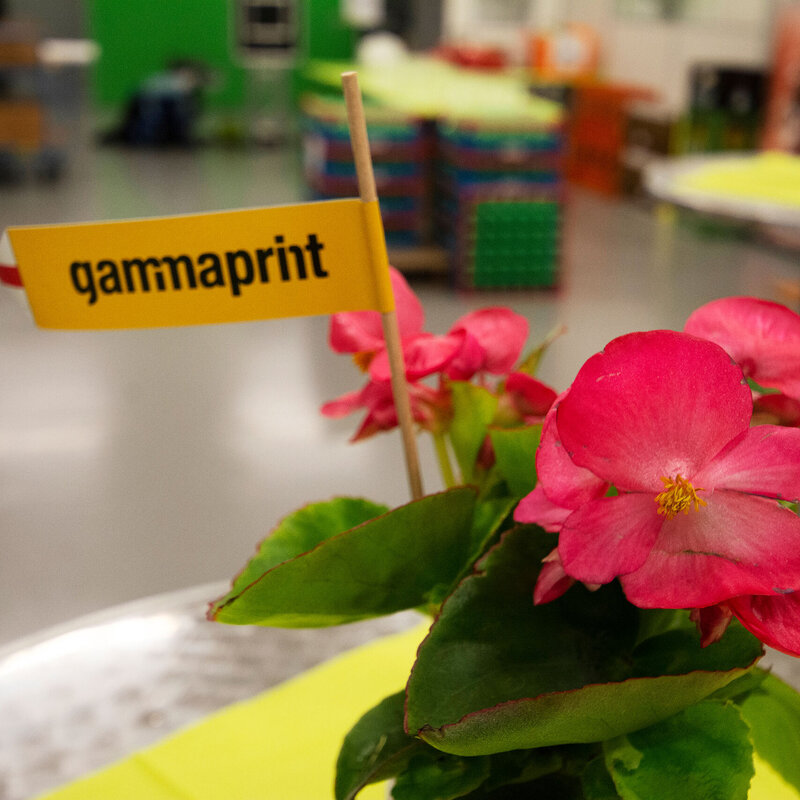 Ihre Druckerei in Luzern